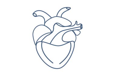 İnsan Kalbi vektörü simgesi