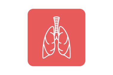 İnsan ciğerleri ikonu. Beyaz arkaplanda izole edilmiş web tasarımı için ana akciğer vektör simgesi