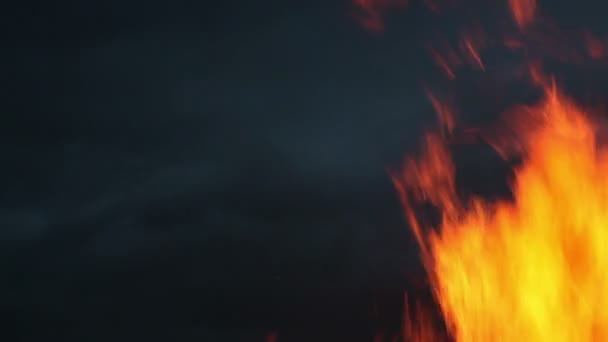 Grande fogueira em Shrove terça-feira — Vídeo de Stock