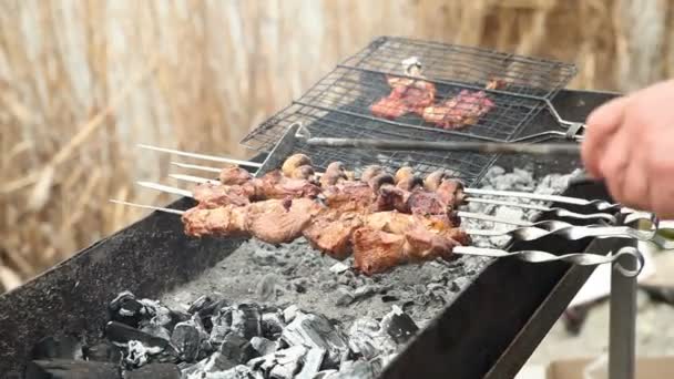 Fried meat on a skewer — Stock Video