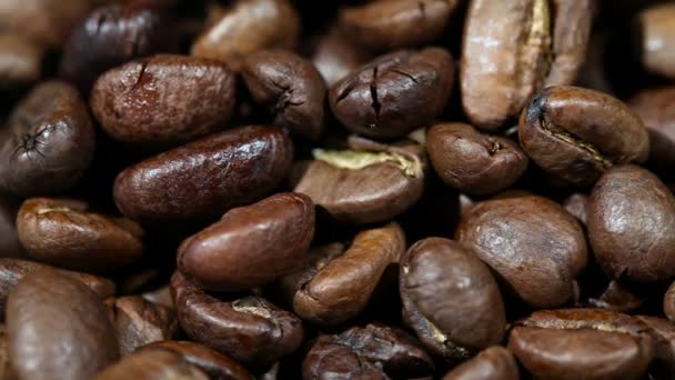 Roasted Coffee Beans — Stock Video