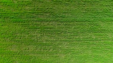 Alan çim üzerinde uçan