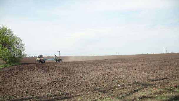 El tractor siembra semillas del campo de girasol — Vídeo de stock