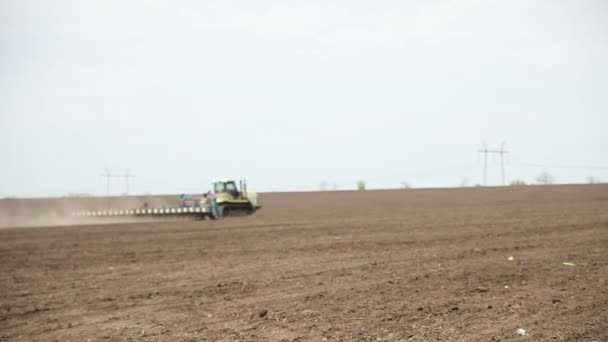 El tractor siembra semillas del campo de girasol — Vídeos de Stock