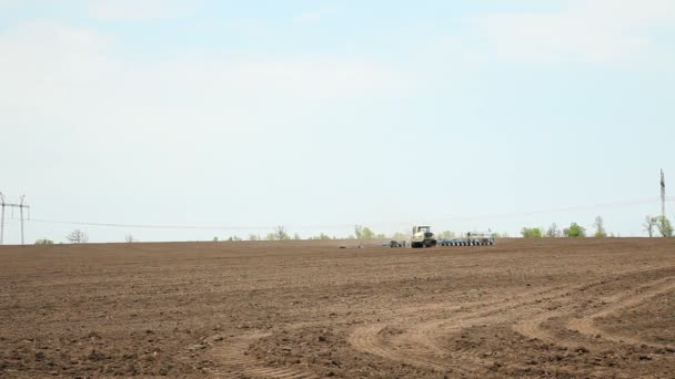 Traktor sät Samen von Sonnenblumenfeld — Stockvideo