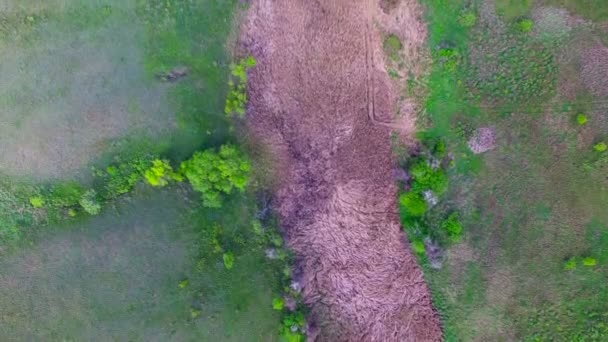 Volando sobre el barranco de primavera — Vídeo de stock