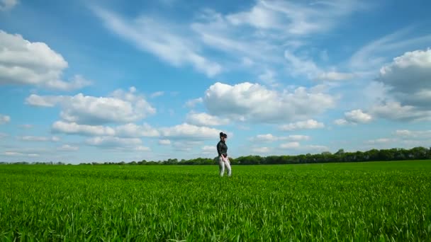 Chica va en el campo de trigo — Vídeo de stock