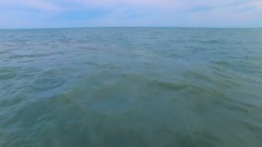 sahil üzerinde uçan