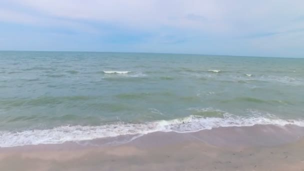 Latanie na wybrzeżu — Wideo stockowe