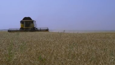 Birleştirme-biçerdöver buğday toplar