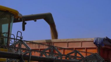 Birleştirme-hasat unload tahıl