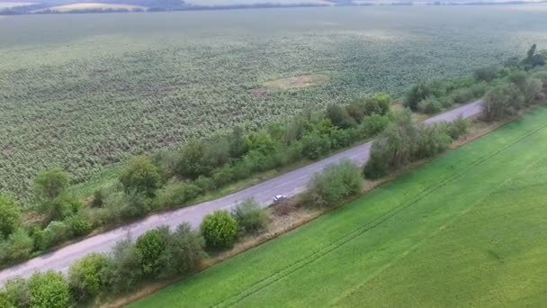 고속도로에서 필드 위에 비행 — 비디오
