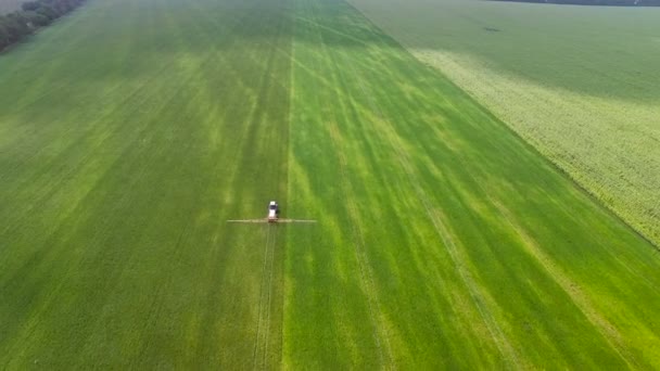 Трактор збризає бобове поле — стокове відео