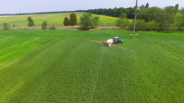 Tractor sprinkles bean field — Stock Video