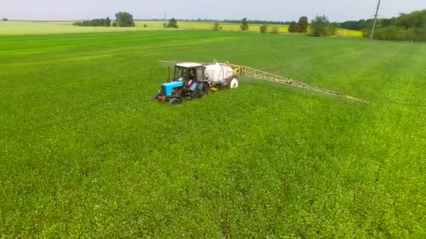 Tractor sprinkles bean field — Stock Video