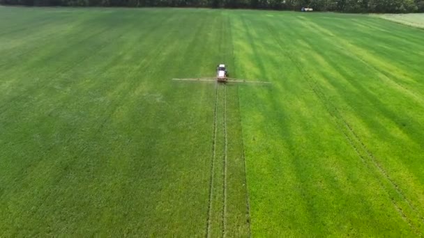 Tractor asperja campo de frijol — Vídeo de stock