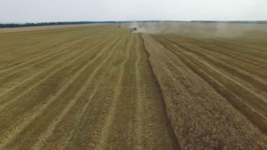 Tahıl hasat toplar birleştirmek