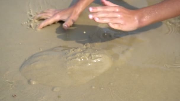 Een jongetje bouwt een zandkasteel — Stockvideo