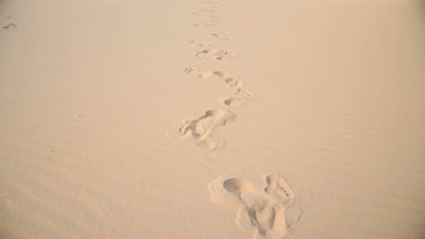 Human Footprints in the desert — Stock Video