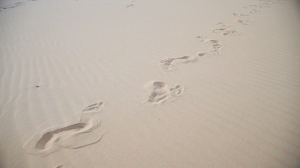 Human Footprints in the desert — Stock Video