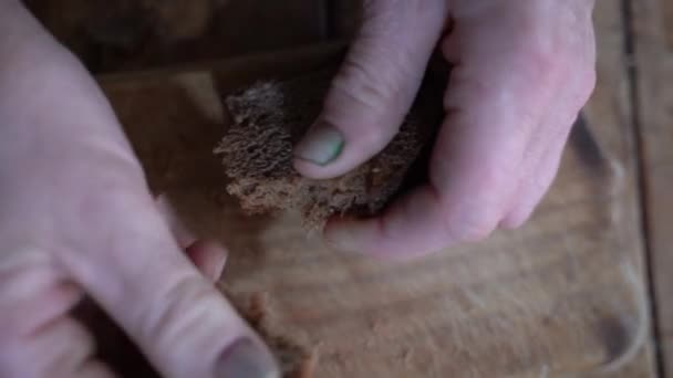 Anziana povera donna rompe il pane nero — Video Stock