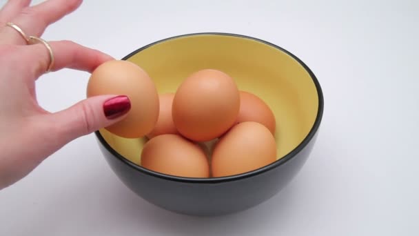 Tavuk yumurta — Stok video
