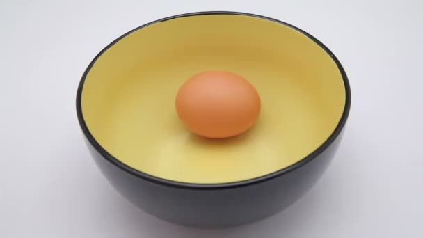 Куриное яйцо — стоковое видео