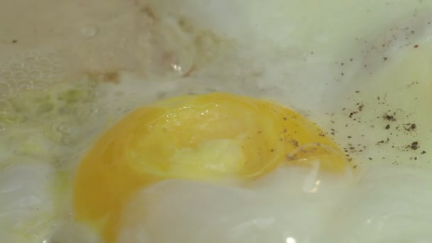 Kyckling stekt ägg — Stockvideo