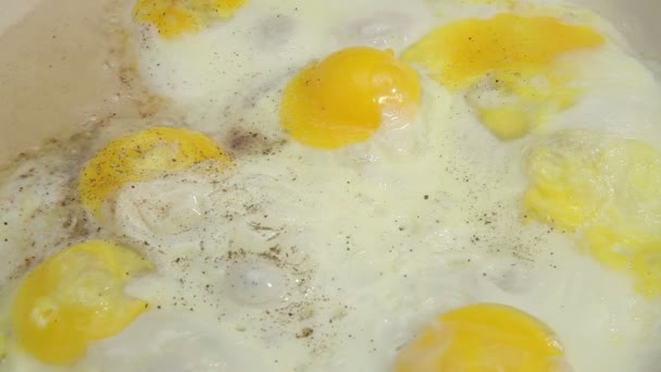 Huevos fritos de pollo — Vídeos de Stock