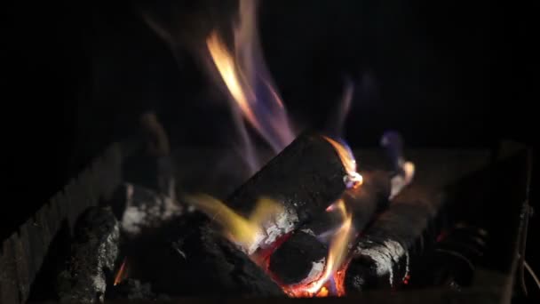 Fuego en la parrilla — Vídeo de stock