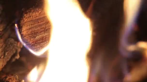 烤架上的火 — 图库视频影像