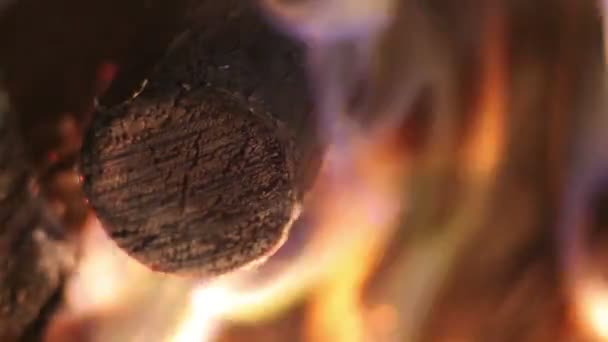 Ogień w grillu — Wideo stockowe