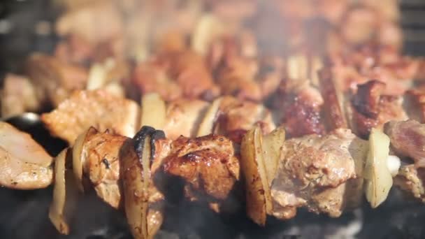 肉在火上烤 — 图库视频影像