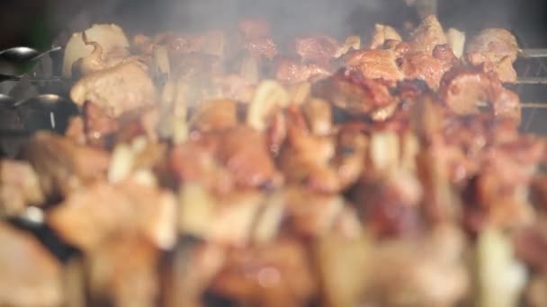 Carne asada en el fuego — Vídeos de Stock