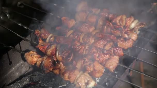 Carne alla griglia sul fuoco — Video Stock