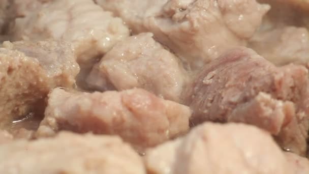 Fleisch in einer Pfanne — Stockvideo