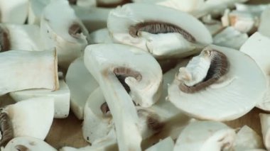 Champigny mantar, beyaz mantar