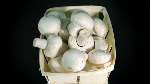 Funghi Champigny, fungo bianco — Video Stock