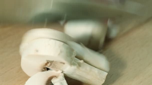 Грибы Шампиньи, белые грибы — стоковое видео