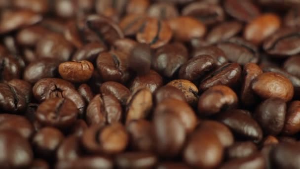 Kaffeebohnen in die Hand genommen — Stockvideo
