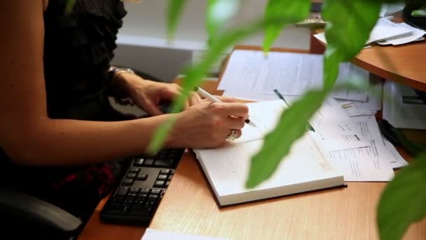 Das Mädchen im Büro, das am Computer arbeitet — Stockvideo