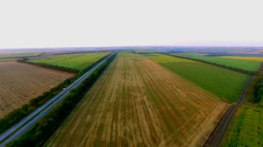 Ayçiçeği tarlası üzerinde uçuş. Hava anket