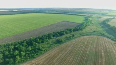 Quadrocopters gün batımında arı kovanı üzerinde uçuş