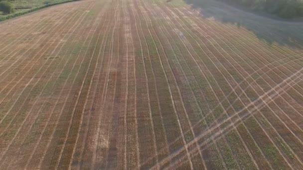 Flug zu Quadrocoptern über Felder bei Sonnenuntergang — Stockvideo