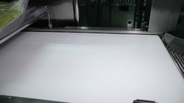 Konveyör döküm ayçiçek yağı üretimi için