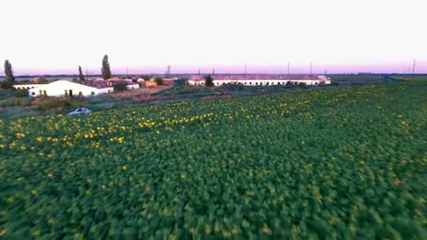 Vliegen Over de verlaten boerderijen. Luchtfoto enquête — Stockvideo