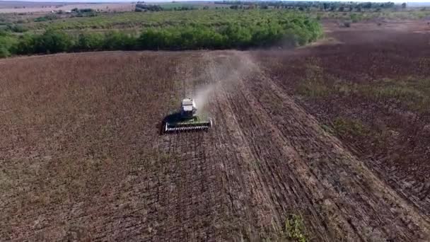 Harvester récolte des tournesols. Relevé aérien — Video