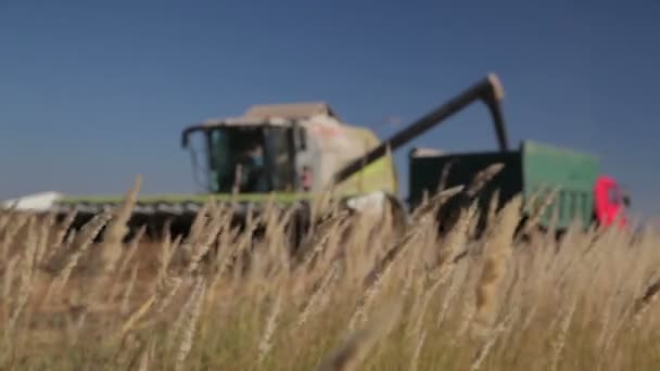 Récolteuse Décharge le grain 