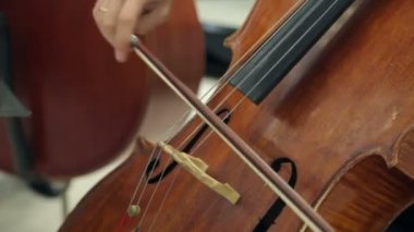 Keman ve viyolonsel Çal