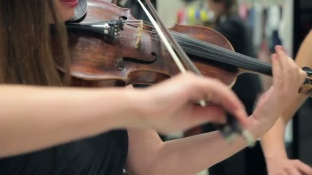 ヴァイオリンとチェロのためを再生します。 — ストック動画